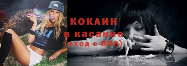 ешки Аркадак