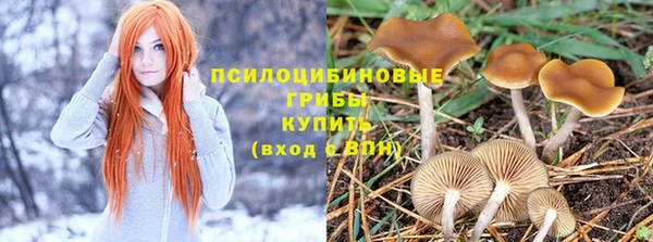 мет Армянск