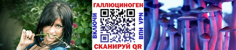 MEGA вход Приволжск даркнет какой сайт где купить наркоту Псилоцибиновые грибы Magic Shrooms